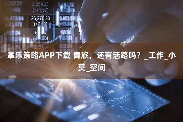 掌乐策略APP下载 青旅，还有活路吗？_工作_小莫_空间