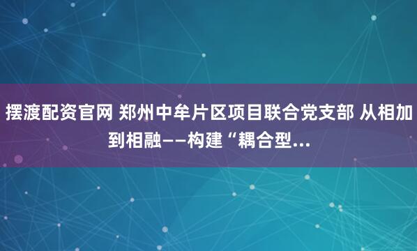 摆渡配资官网 郑州中牟片区项目联合党支部 从相加到相融——构建“耦合型...