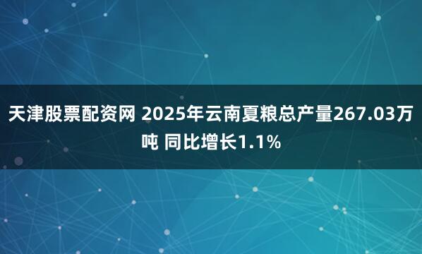 天津股票配资网 2025年云南夏粮总产量267.03万吨 同比增长1.1%