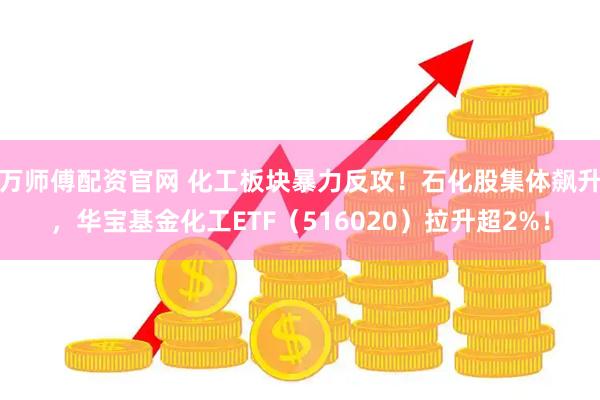 万师傅配资官网 化工板块暴力反攻！石化股集体飙升，华宝基金化工ETF（516020）拉升超2%！