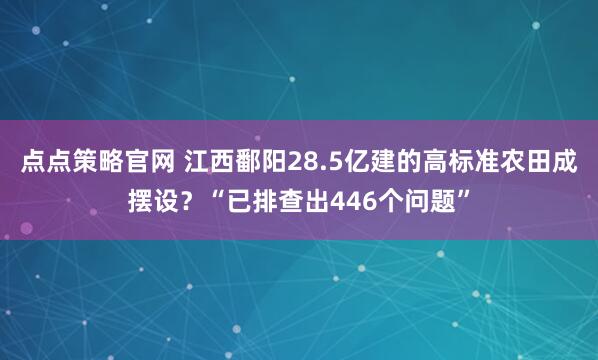 点点策略官网 江西鄱阳28.5亿建的高标准农田成摆设？“已排查出446个问题”